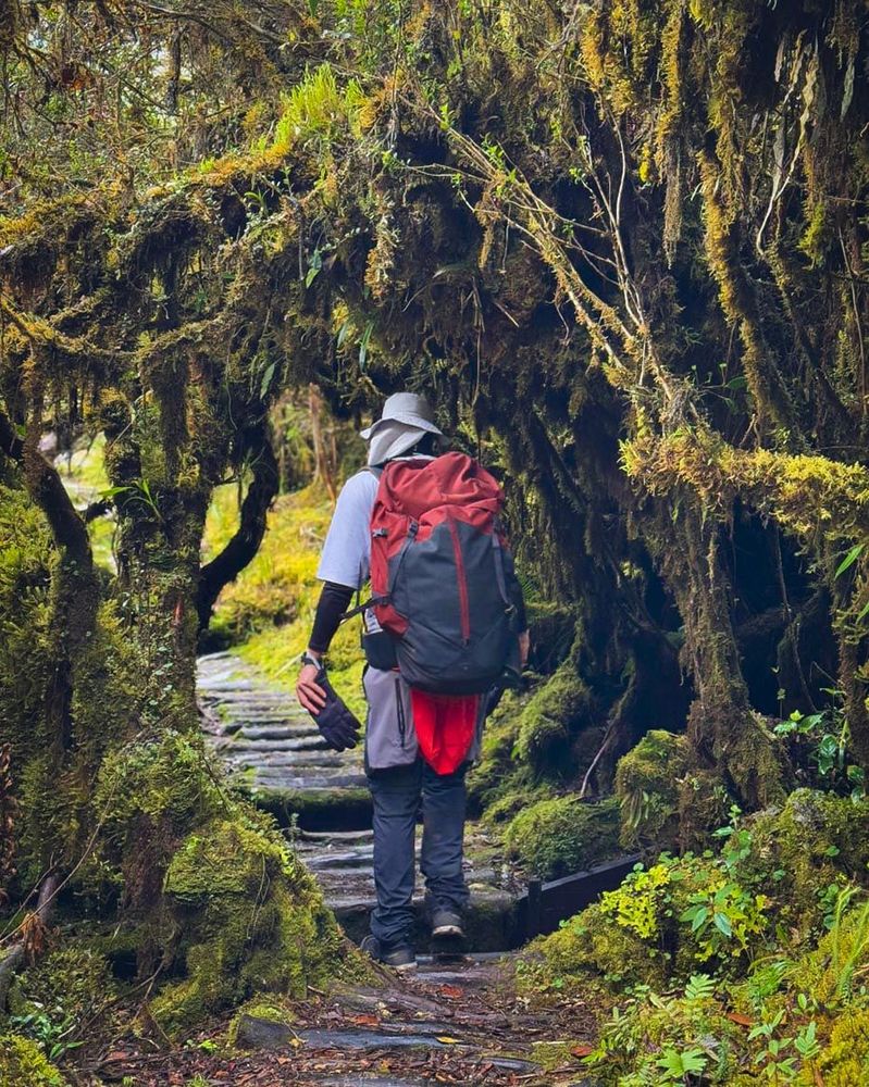 Juan-esteban (1).jpg