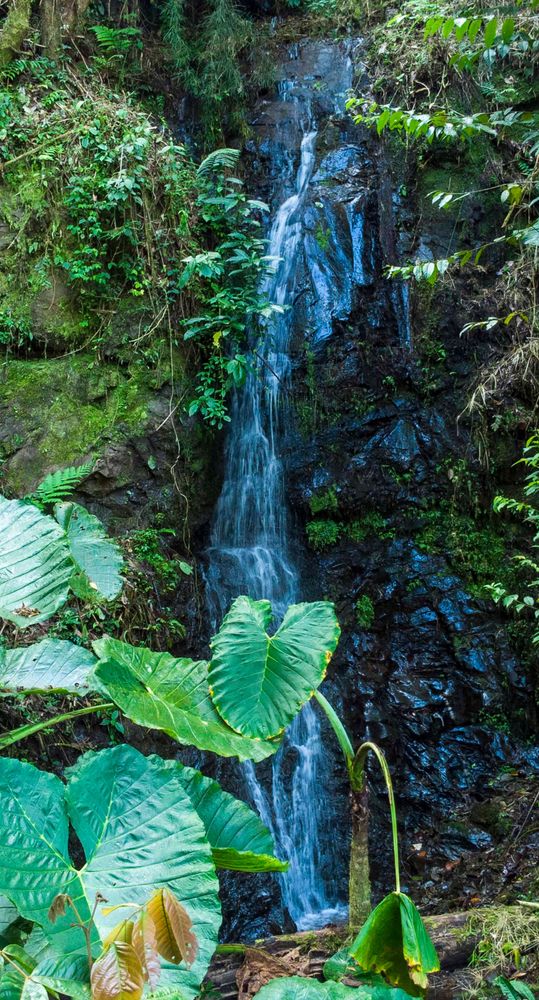 cascada la azuleja.jpg