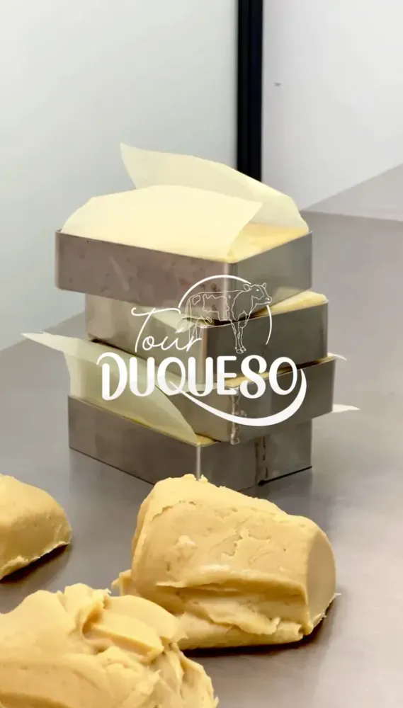 duqueso_6.webp