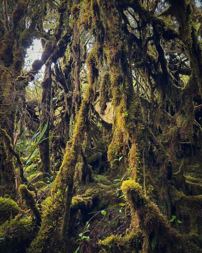 Juan-esteban (12).jfif