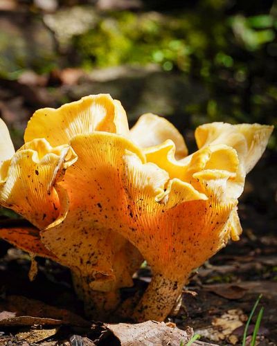 Juan-esteban (13).jfif