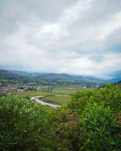 Juan-esteban (16).jfif