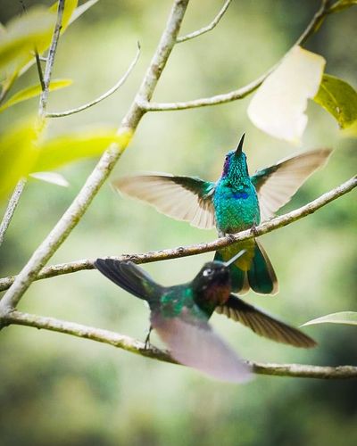 Juan-esteban (17).jfif