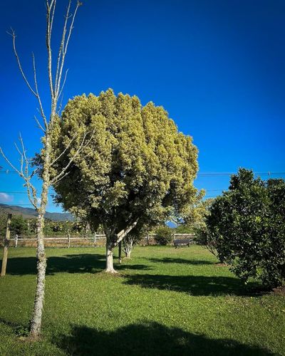 Las vistas aquí son espectaculares.jpg