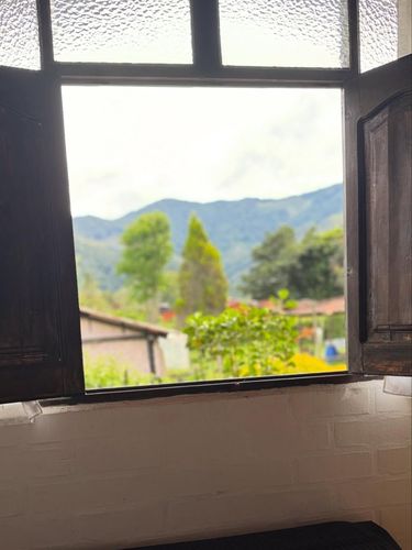 Suite Junior (1).jpg