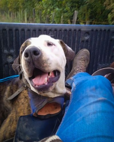 Urrao es un paraíso para recorrer (1)-11.jpg