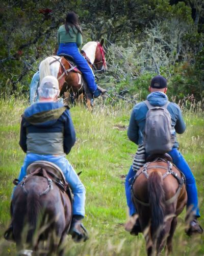 Urrao es un paraíso para recorrer-1.jpg