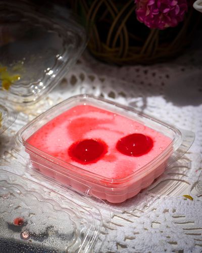 delicias-anilec (5).jpg