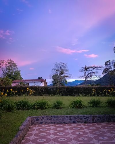 finca-latranquila (4).jpg