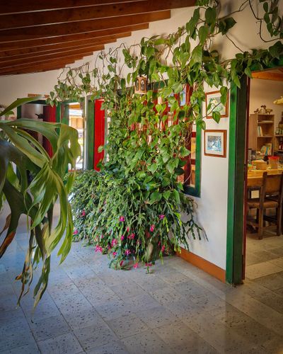 hotel-riomanso (12).jpg