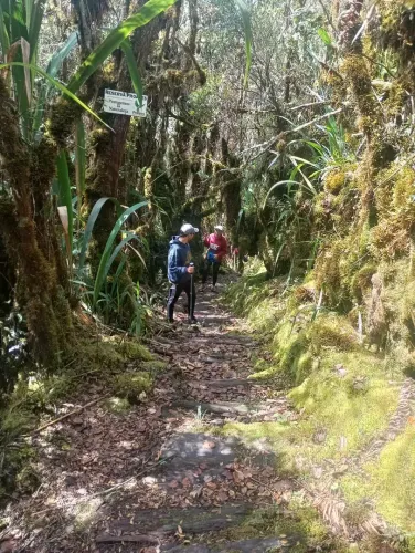 Katuma Tours