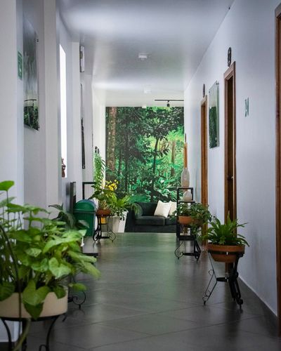 parque-orquideas-hotel (6).jpg