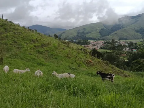 Imagen de Refugio Lancaster