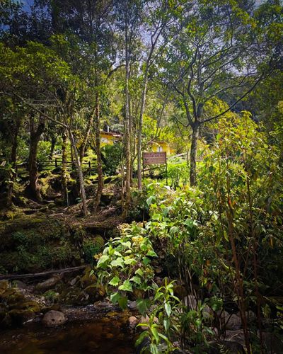 vamospaurrao (13).jpg