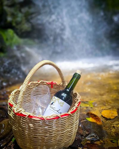 vamospaurrao (25)-.jpg