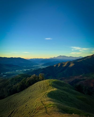 vamospaurrao (5).jpg